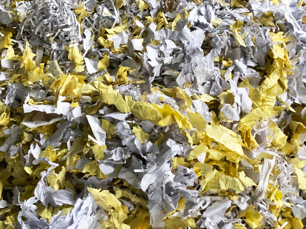 山东淋膜纸纸塑分离机供应商 独爱金双联环保