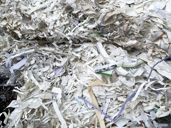 回收书本纸